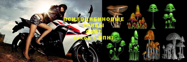 СК Вязьма