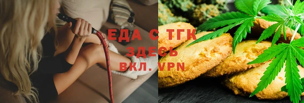 СК Вязьма