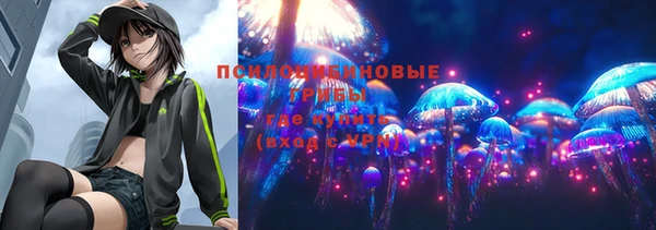 СК Вязьма