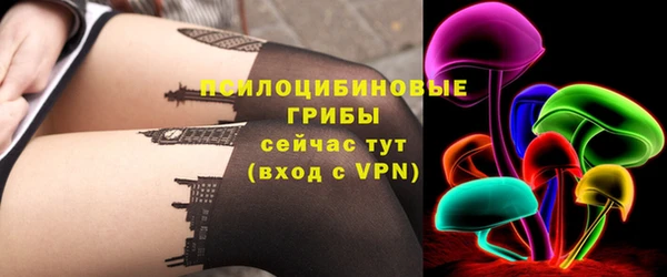СК Вязьма