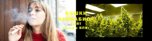 СК Вязьма