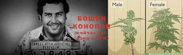 гидропоника Вяземский