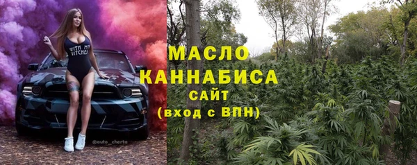 СК Вязьма