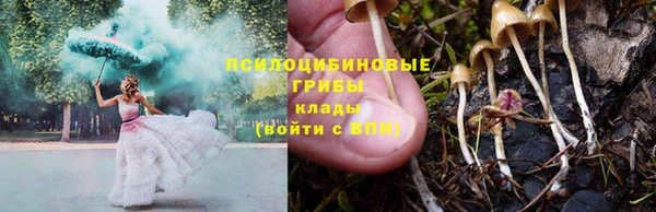 СК Вязьма
