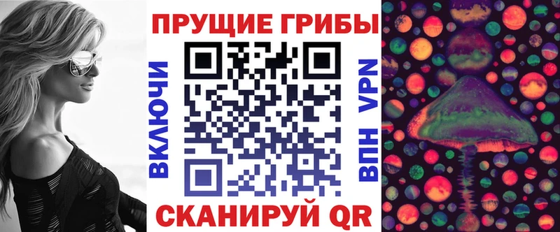 Псилоцибиновые грибы мицелий Тбилисская